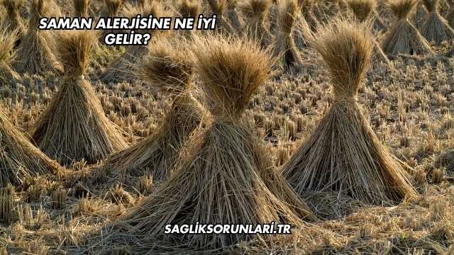 Saman Alerjisine Ne İyi Gelir?