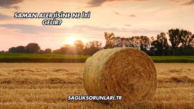 Saman Alerjisine Ne İyi Gelir?