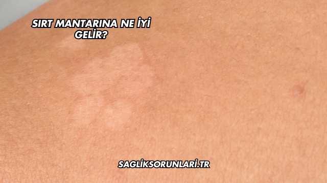 Sırt Mantarına Ne İyi Gelir?