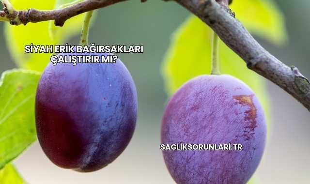 Siyah Erik Bağırsakları Çalıştırır mı?