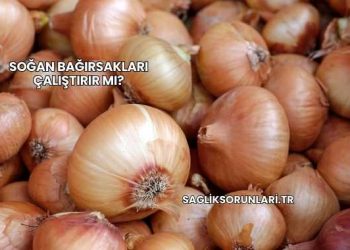 Soğan Bağırsakları Çalıştırır mı?