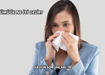 Sümüğe Ne İyi Gelir?