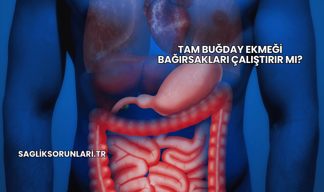 Tam Buğday Ekmeği Bağırsakları Çalıştırır mı?