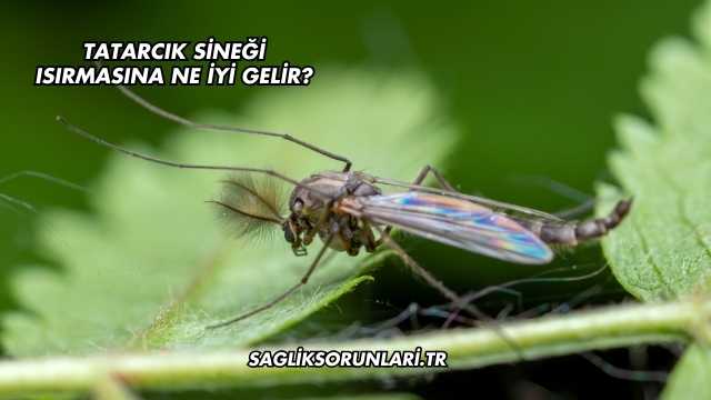 Tatarcık Sineği Isırmasına Ne İyi Gelir?
