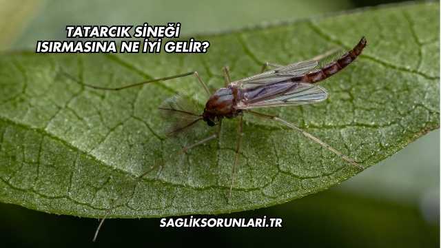 Tatarcık Sineği Isırmasına Ne İyi Gelir?