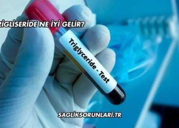 Trigliseride Ne İyi Gelir?