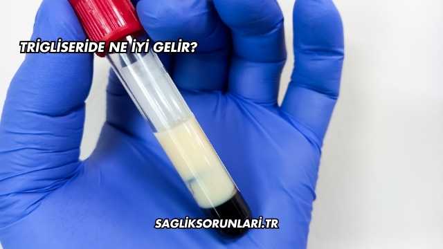 Trigliseride Ne İyi Gelir?
