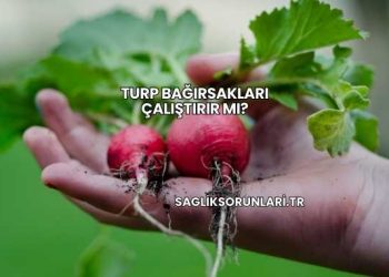 Turp Bağırsakları Çalıştırır mı?