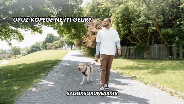 Uyuz Köpeğe Ne İyi Gelir?