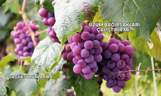 Üzüm Bağırsakları Çalıştırır mı?