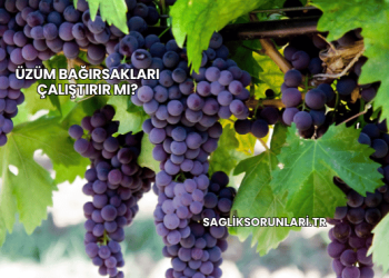 Üzüm Bağırsakları Çalıştırır mı?