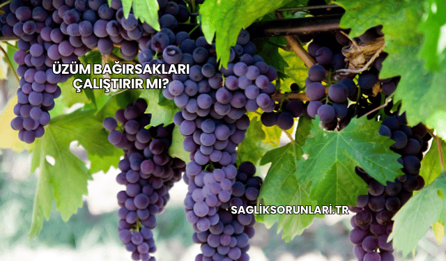 Üzüm Bağırsakları Çalıştırır mı?