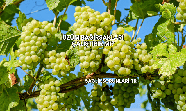 Üzüm Bağırsakları Çalıştırır mı?