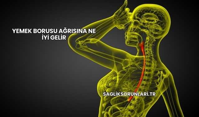Yemek Borusu Ağrısına Ne İyi Gelir