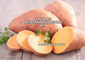 Yer Elması Bağırsakları Çalıştırır mı?