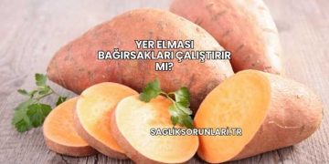 Yer Elması Bağırsakları Çalıştırır mı?