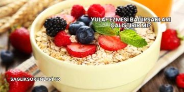 Yulaf Ezmesi Bağırsakları Çalıştırır mı?