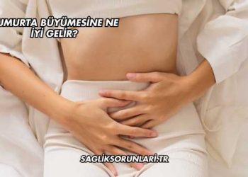 Yumurta Büyümesine Ne İyi Gelir?