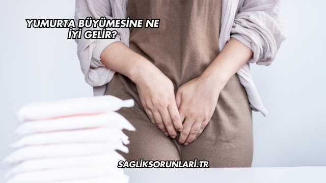 Yumurta Büyümesine Ne İyi Gelir?