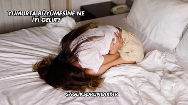 Yumurta Büyümesine Ne İyi Gelir?