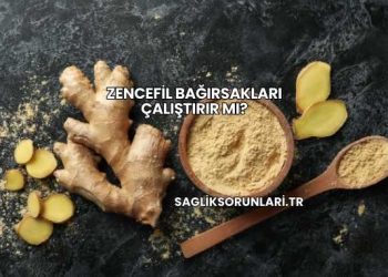 Zencefil Bağırsakları Çalıştırır mı?