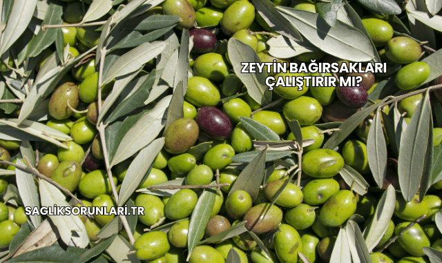 Zeytin Bağırsakları Çalıştırır mı?