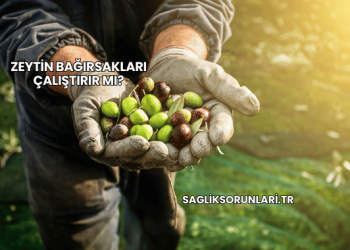 Zeytin Bağırsakları Çalıştırır mı?