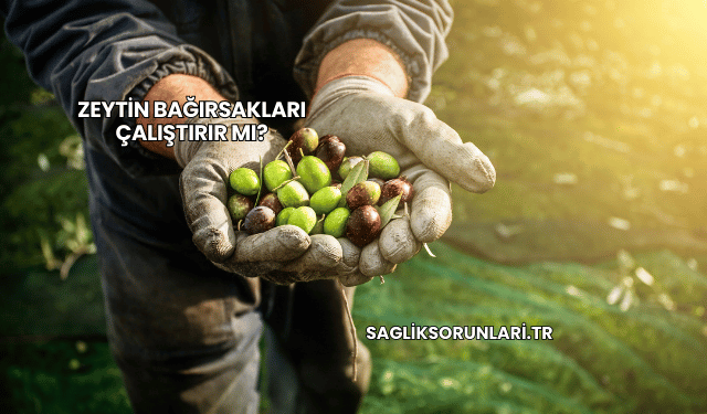 Zeytin Bağırsakları Çalıştırır mı?