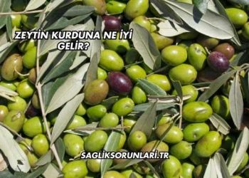 Zeytin Kurduna Ne İyi Gelir?