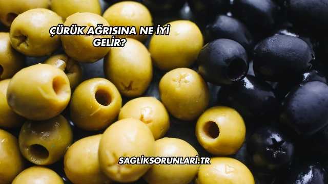 Zeytin Kurduna Ne İyi Gelir?