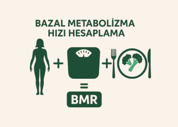 Bazal Metabolizma Hızı Hesaplama