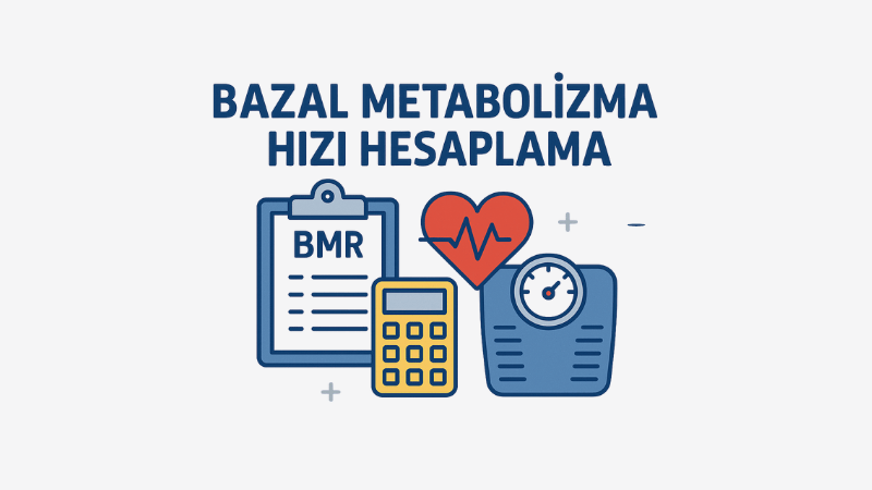 Bazal Metabolizma Hızı Hesaplama