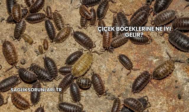 Çiçek Böceklerine Ne İyi Gelir?