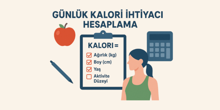 Günlük Kalori İhtiyacı Hesaplama