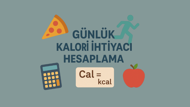 Günlük Kalori İhtiyacı Hesaplama