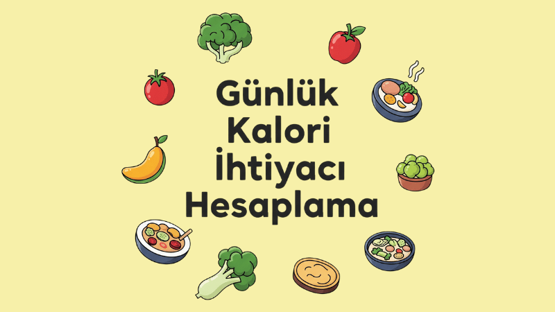 Günlük Kalori İhtiyacı Hesaplama
