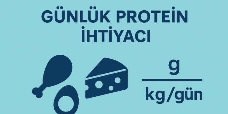 Günlük Protein İhtiyacı Hesaplama