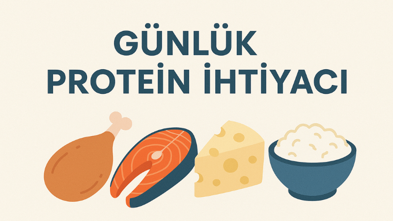 Günlük Protein İhtiyacı Hesaplama