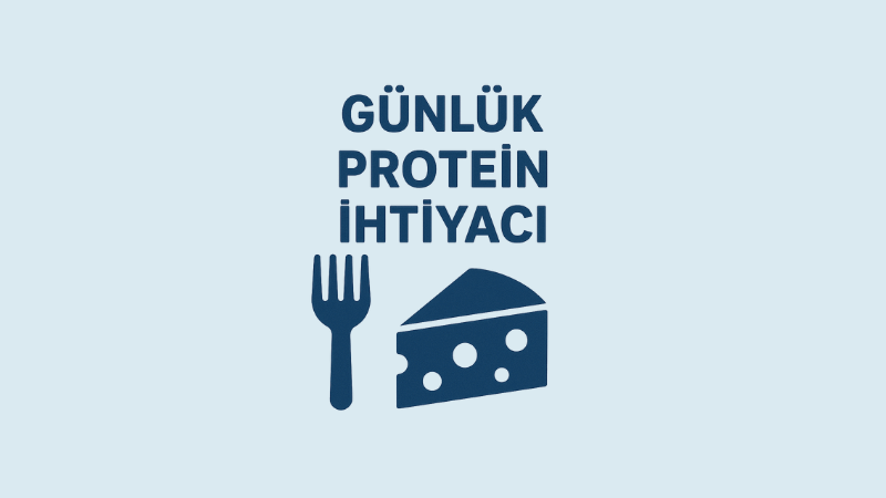 Günlük Protein İhtiyacı Hesaplama