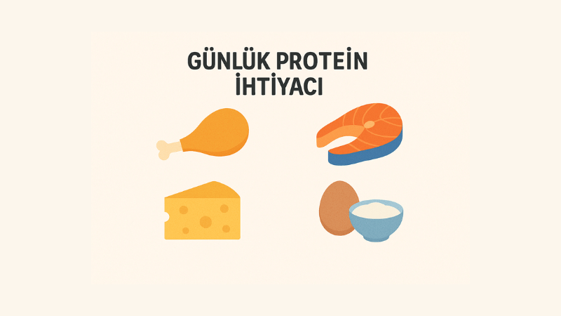 Günlük Protein İhtiyacı Hesaplama