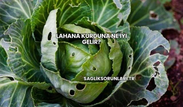 Lahana Kurduna Ne İyi Gelir?