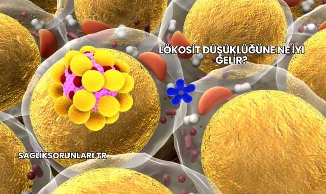 Lökosit Düşüklüğüne Ne İyi Gelir?