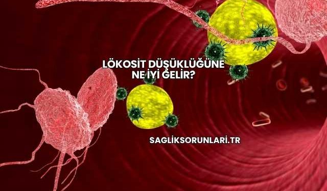 Lökosit Düşüklüğüne Ne İyi Gelir?