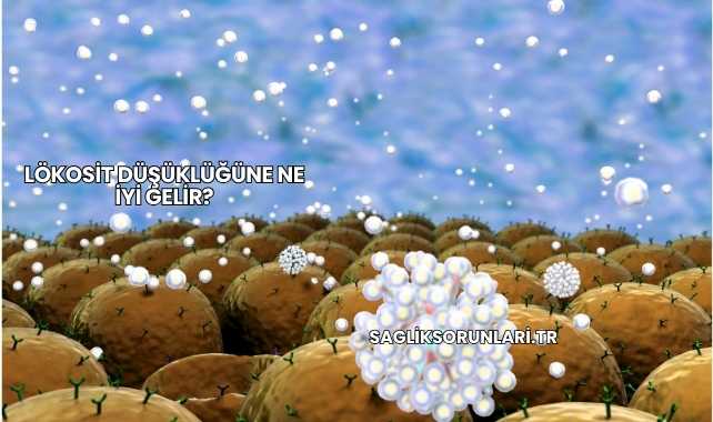 Lökosit Düşüklüğüne Ne İyi Gelir?