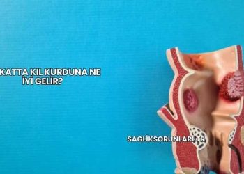 Makatta Kıl Kurduna Ne İyi Gelir?