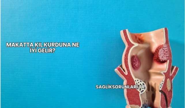 Makatta Kıl Kurduna Ne İyi Gelir?