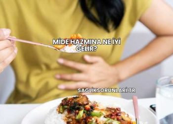 Mide Hazmına Ne İyi Gelir?