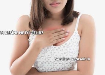 Mide Stresine Ne İyi Gelir?