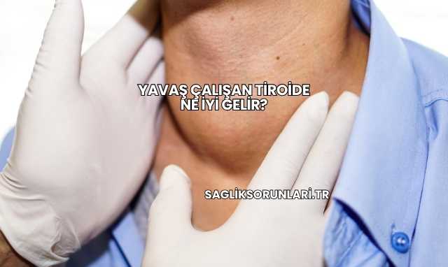 Yavaş Çalışan Tiroide Ne İyi Gelir?