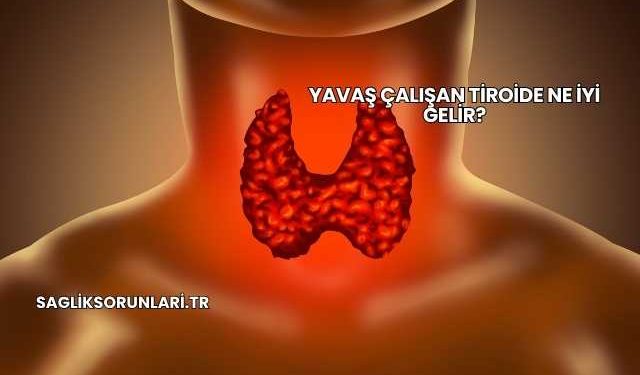 Yavaş Çalışan Tiroide Ne İyi Gelir?